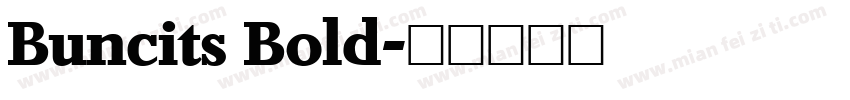 Buncits Bold字体转换